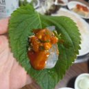 벗이있는집 | 이문동 맛집 신이문역 횟집 노포 분위기 등대횟집 후기