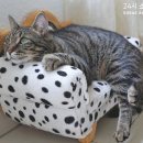 소래동물병원 이미지