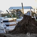 남부장의사