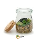 우미내길 이미지