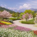 조경기능사 실기과정 이미지