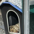 세븐일레븐 선재도점 이미지