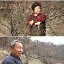 비수구미민박 이미지