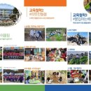 금성초등학교 이미지