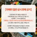 코닥 - 진주시 삼일로95번길 46 | 코닥