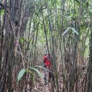 월평~월평리교차로 이미지