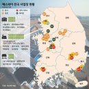에스와이 이미지