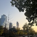 글밥 냠냠 요리 냠냠 1 | 여의도 메리어트 투베드룸 호캉스 조식 냠냠굿