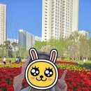 미사누리2호공원 이미지