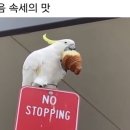오태식해바라기치킨세화점