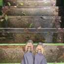 월영동149 이미지