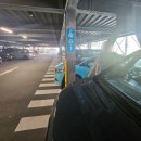 오키 - 동구 동계로15번길 29 | (일본 오키나와) 츄라우미 수족관과 오키짱 솔직후기 🐬🐠🐡