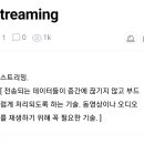 [독려]스트리밍, 스밍이 무엇인가요? 이미지