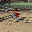 송파구 도란도란생태길 | 🌿 인천 나들이 추천 사람 많은 곳 싫어! 가족이랑 강아지랑 도란도란 청라생태공원 나들이 🐾