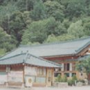 원조파주골순두부 이미지