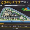 금천계곡 야영장 이미지