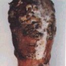 풍년농약식물병원 | 당근-병해충생태및방제찬성장*080422*