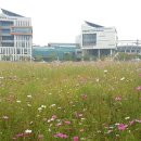 단원구청 이미지