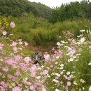 찬송농장 - 장수군 | 찬송농장