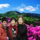 인천종합사회복지관 이미지