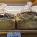 아빠랑 식빵이랑 이미지