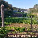 분당-160 이미지