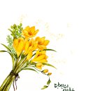 화정도서관 갤러리 꽃 이미지