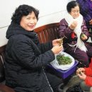 서이경로당 Daum카페