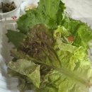 가장맛있는족발(수원호매실점) | 가장맛있는족발 수원호매실점 포장 후기( 반반족발 가격)