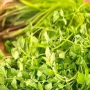 지리산청정흑돼지 이미지