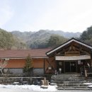민화B Daum카페