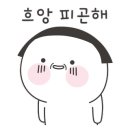 신양섭지해수욕장 네이버블로그