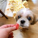 도기키친 프롬제주 이미지