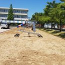 장생포초등학교병설유치원 | 울산 장생포초등학교&amp;병설유치원 모래소독 : 3471번째 후기