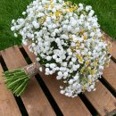 향기로 여는 마음의 문 이미지