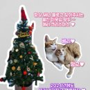 생텀커피삼천포점 이미지
