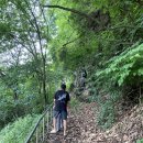 물꽃 캠핑장 이미지