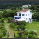 강아지 보호센터 이미지