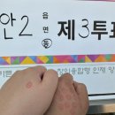성은세탁소 | 2025 일상 5.