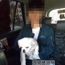 신동동물병원 이미지