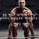 피티플레이스 이미지