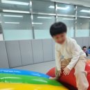 라이온태권도체육관 이미지