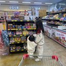 가우도 친구집 | 강진 반값여행 신청 정산 장보기 마트 관광명소 꿀팁까지 총정리 찐후기