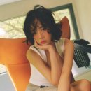 비비컷 이미지