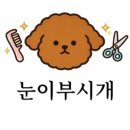 눈이부시개 이미지