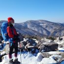 ◎ 갑진년 신년산행은 민족의 영산 태백산에서 시작 이미지