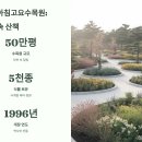 서울 근교 1박 2일 힐링 여행지 베스트5