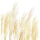 갈대이야기 | 갈대 의미 꽃말 12월 8일 탄생화 속뜻 숨겨진 이야기