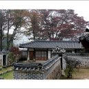 가을 숲으로 가자 이미지