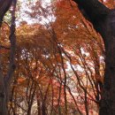 장원초등학교 이미지